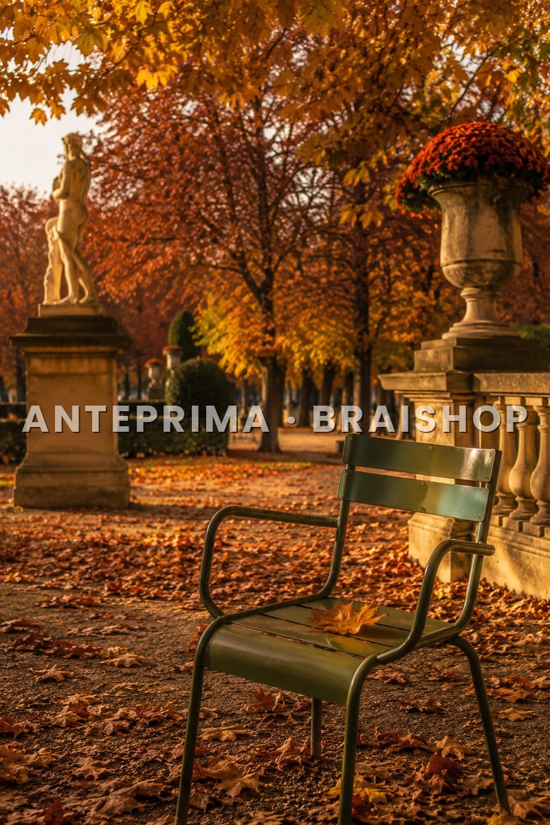 Wall art Parigi autunno Lussemburgo foglie dorate anteprima BraiShop