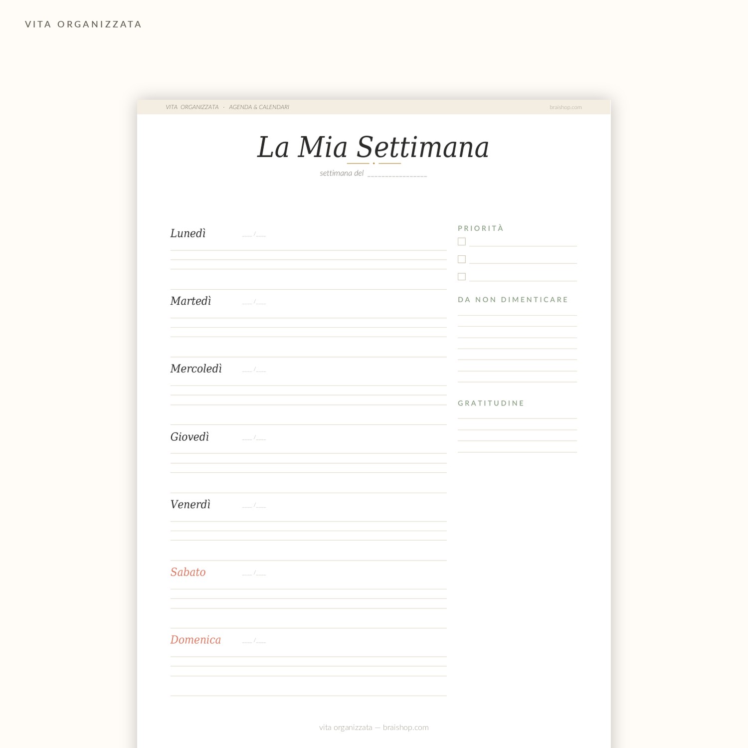 Vita Organizzata — anteprima pagina 4