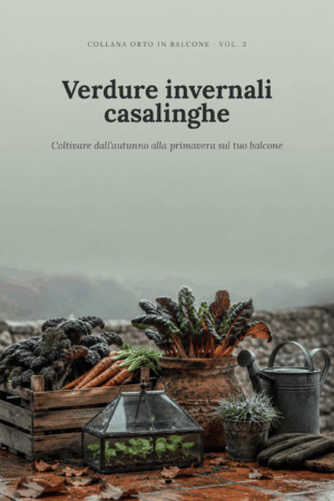Cover foto-real Vol.3 Verdure invernali casalinghe
